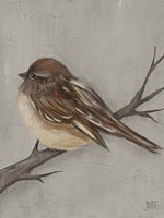 Winter Bird III Fine Art Print