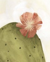 Arid Bloom II Fine Art Print