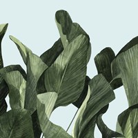 Celadon Palms II Fine Art Print