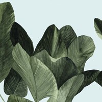 Celadon Palms I Fine Art Print