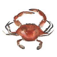 Watercolor Crab I Fine Art Print