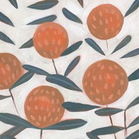 Red Clover II Fine Art Print