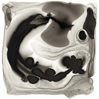 Inspired II Fine Art Print