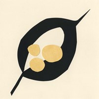 Mod Pod I Fine Art Print