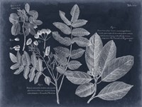 Foliage on Navy V Fine Art Print