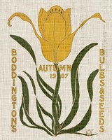 Flower Seed Packs I Fine Art Print