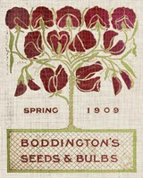 Flower Seed Packs II Framed Print