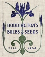 Flower Seed Packs IV Framed Print