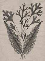 Eloquent Leaves IV Framed Print