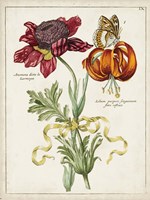 Botanical Bouquet II Fine Art Print