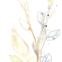 Botany Gesture VIII Framed Print