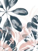 Tropical Blush I Framed Print