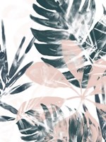 Tropical Blush II Framed Print