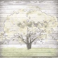 Barn Tree I Fine Art Print