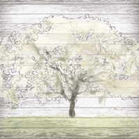 Barn Tree II Fine Art Print
