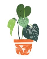 Happy Plants II Fine Art Print