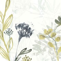 Tropical Stems II Framed Print