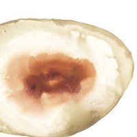 Cropped Geodes IV Fine Art Print