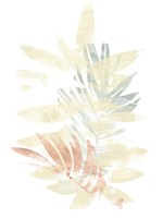 Pastel Tropics II Framed Print