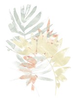 Pastel Tropics IV Framed Print