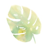 Prisma Tropical I Framed Print