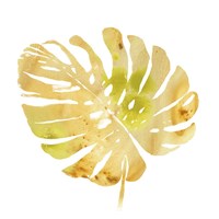 Prisma Tropical IV Fine Art Print