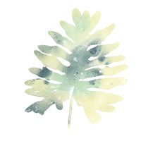 Prisma Tropical VI Framed Print