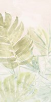 Tropical Sorbet II Fine Art Print