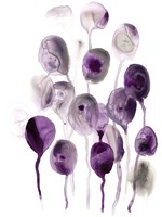 Plum Pods II Framed Print