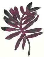 Foliage Fossil III Framed Print