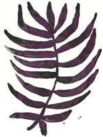 Foliage Fossil VI Fine Art Print