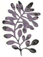 Foliage Fossil VIII Fine Art Print