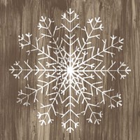 Barnwood Wonderland III Framed Print