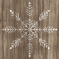 Barnwood Wonderland IV Framed Print