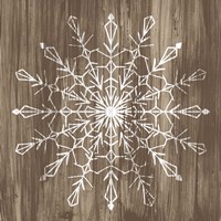 Barnwood Wonderland VI Framed Print