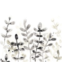 Liquid Stems I Framed Print