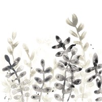 Liquid Stems II Framed Print