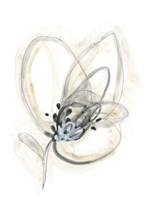 Monochrome Floral Study V Framed Print