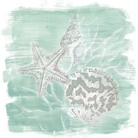 Weathered Shell Assortment II Fine Art Print