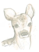 Deer Cameo I Framed Print