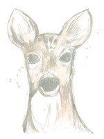 Deer Cameo II Framed Print