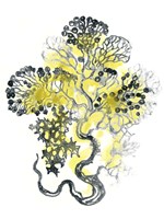 Citron Sea Kelp I Fine Art Print