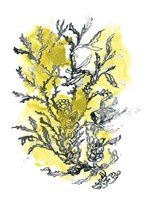 Citron Sea Kelp II Fine Art Print