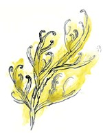 Citron Sea Kelp III Fine Art Print