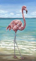 Beach Walker Flamingo I Fine Art Print