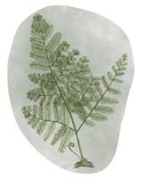 Icy Forest I Fine Art Print