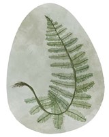 Icy Forest II Fine Art Print