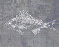 Like a Stone I Fine Art Print