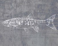 Like a Stone II Fine Art Print