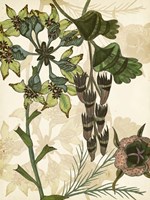 Enchanted II Framed Print